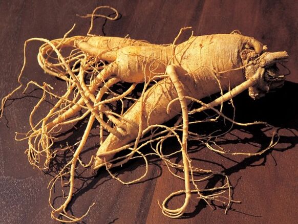 Ginseng erroa