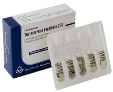 Gizakien potentziaren estimulatzaile hormonalak