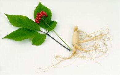 gizakien potentziaren estimulatzaile naturalak