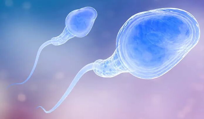 Espermatozoideak gizon baten aurre-eiakulazioan egon daitezke